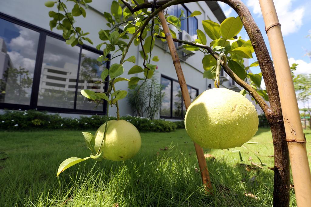 S Ratchada Leisure Hotel - Sha Plus بانكوك المظهر الخارجي الصورة Citrus ×sinensis